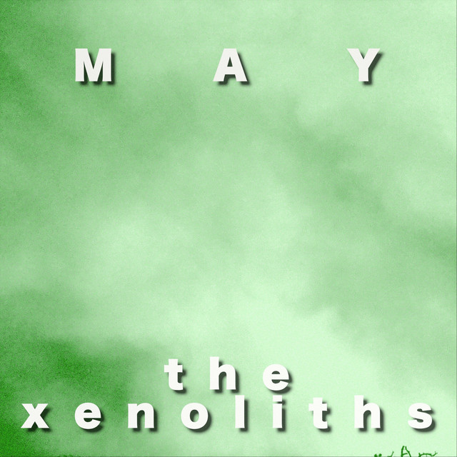 Xenolith Photo