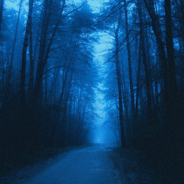 void cover art