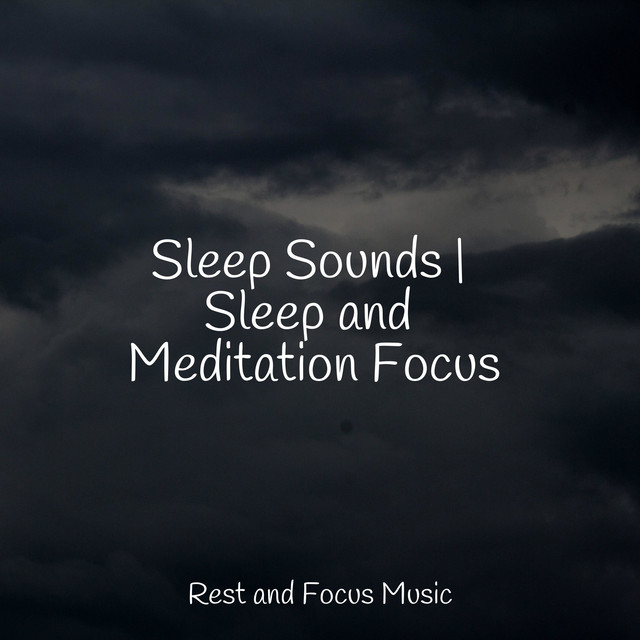 Sleep Sounds | Sleep and Meditation Focus cover art