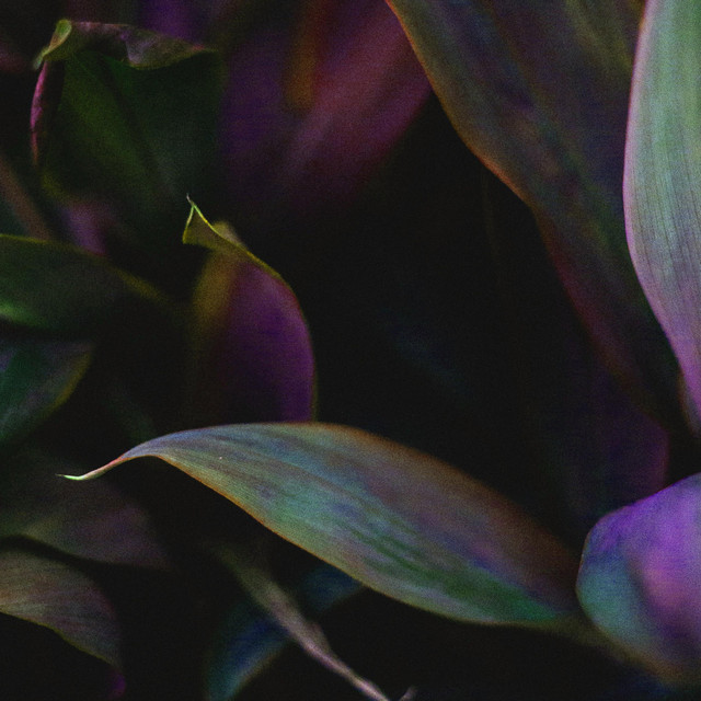 I Love You cover art