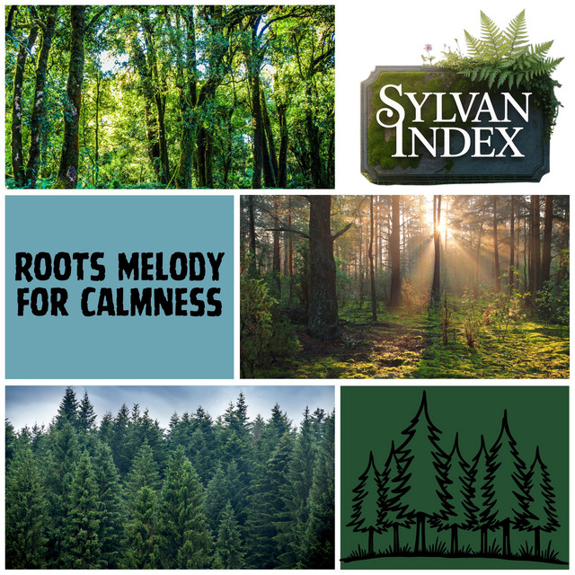 Roots Melody for Calmness