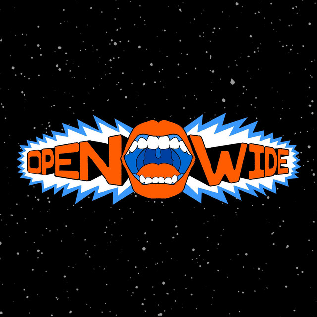 Open Wide cover art