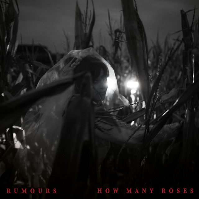 How Many Roses cover art