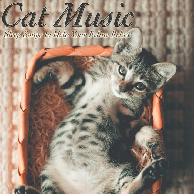 Happy Kitty - song and lyrics by RelaxMyCat, Cat Music Dreams