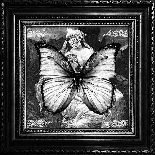 sex death cover art