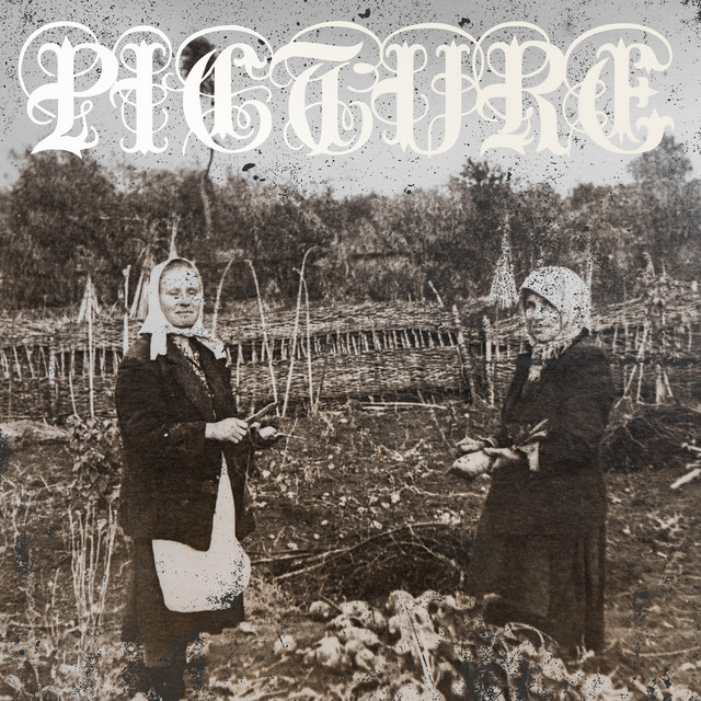Picture cover art