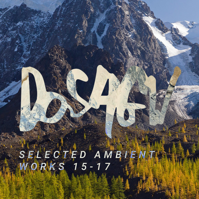 Selected Ambient Works 15-17 cover art