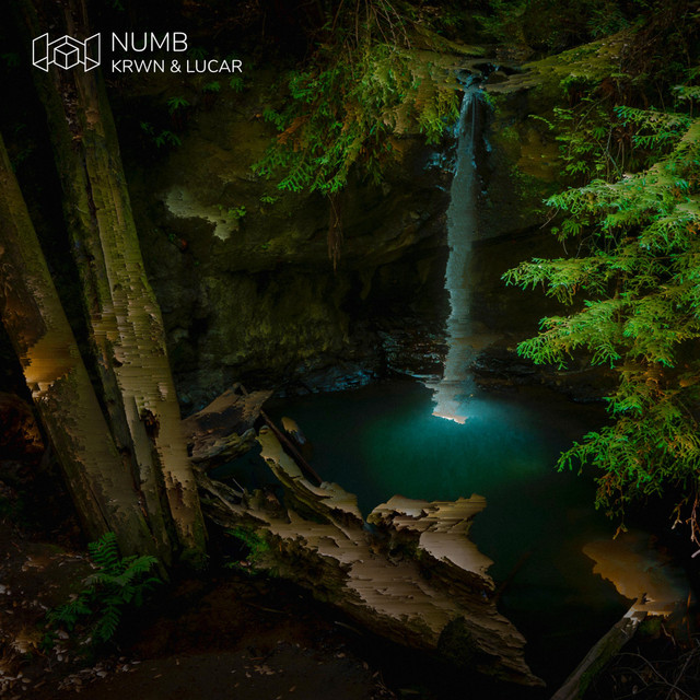Numb cover art