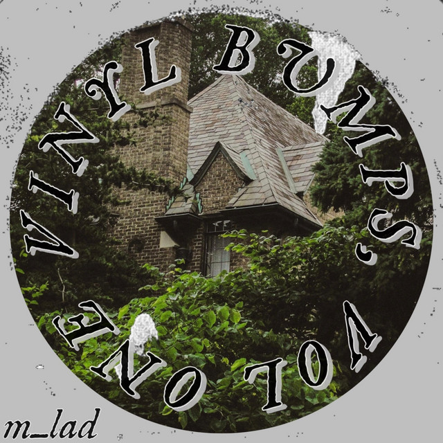 Vinyl Bumps, Vol. 1 cover art