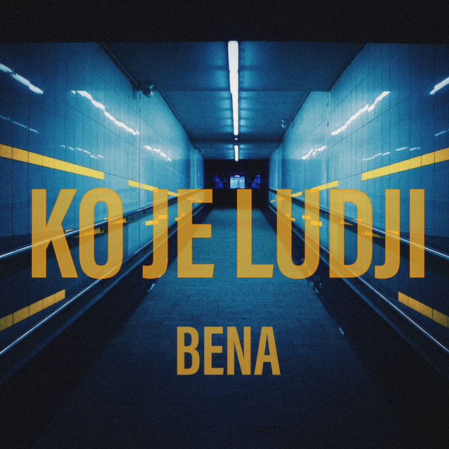 Ko je ludji