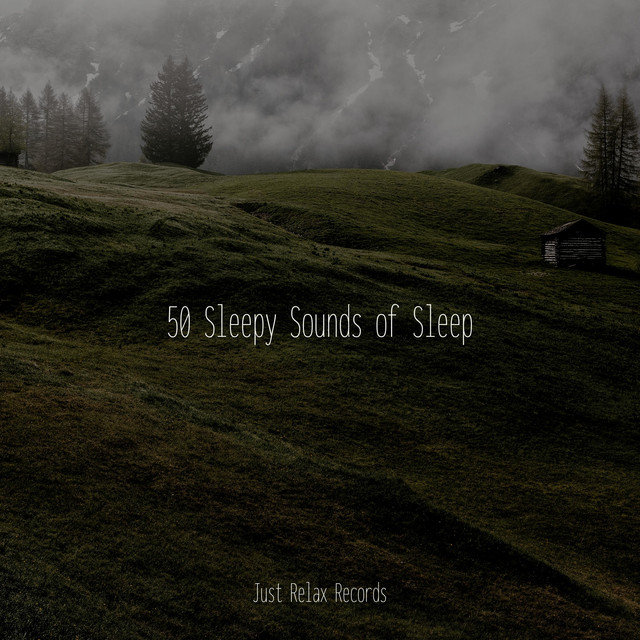 50 Sleepy Sounds of Sleep cover art