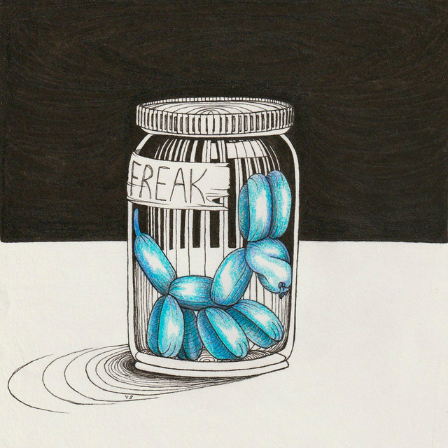Freak Container cover art