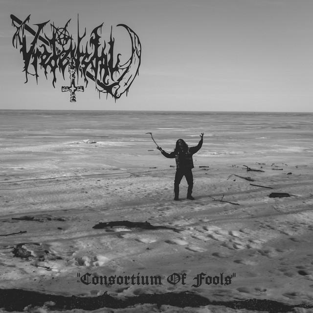 Consortium Of Fools cover