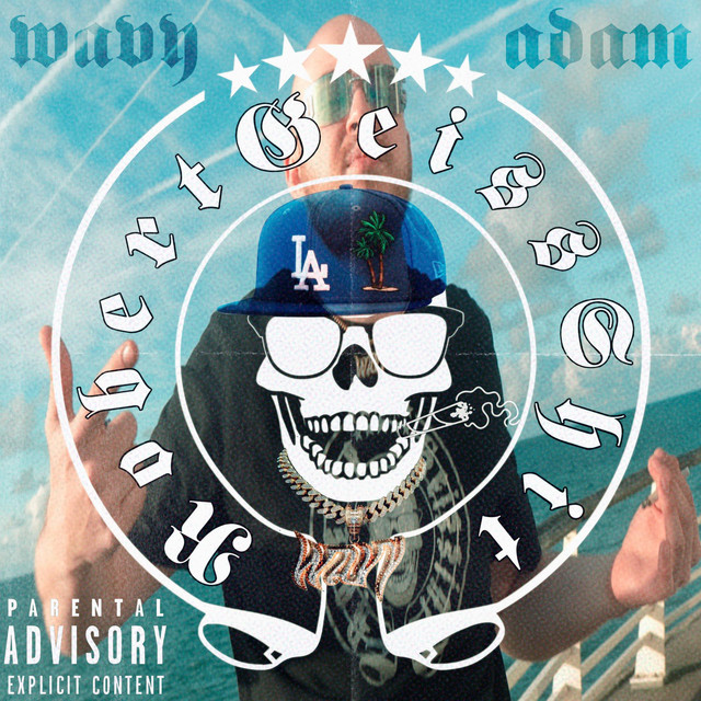 RobertGeissShit cover art