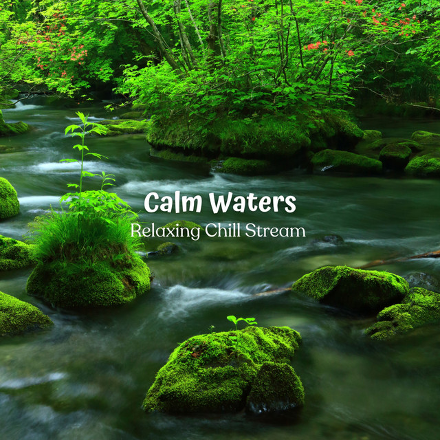 Calm Waters: Relaxing Chill Stream - Album by Waterfall Sounds | Spotify