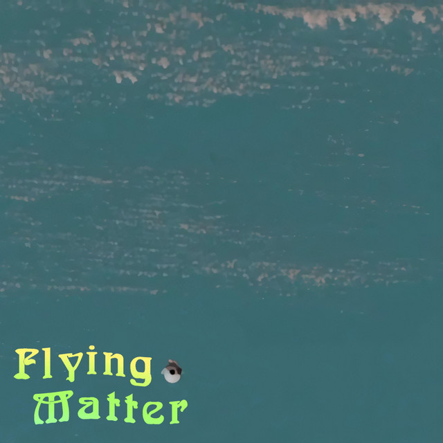 Обкладинка: Flying Matter I — Null Harmony