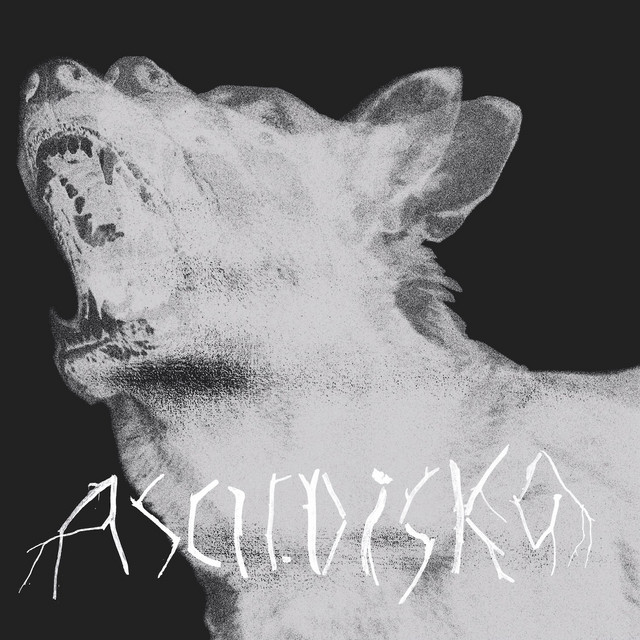 Moshpit Poetry cover art
