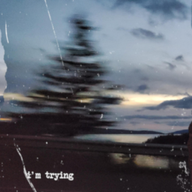 i'm trying cover art