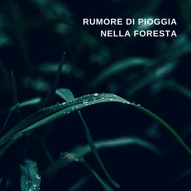 Rumore Di Pioggia Nella Foresta cover art