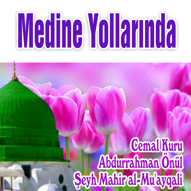 Medine Yollarında cover art