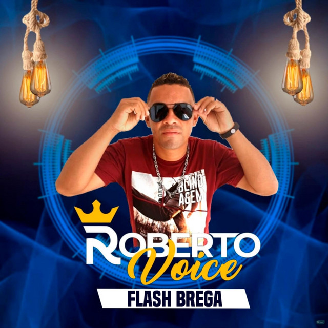 Flash Brega cover art