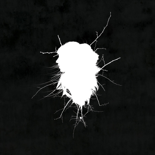 Here In Weightless Fall cover art