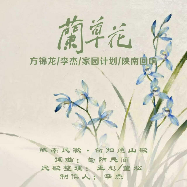 兰草花 album image