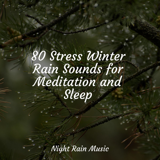 80 Stress Winter Rain Sounds for Meditation and Sleep - Album by Active ...