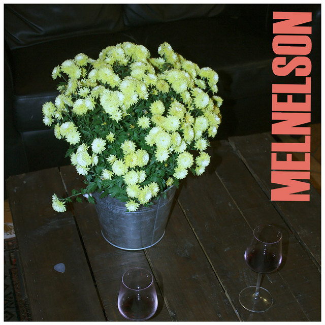 Melnelson