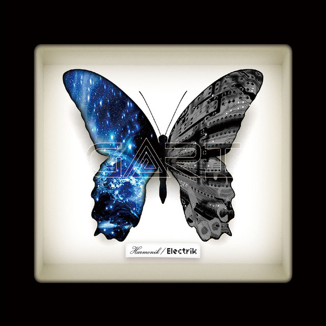 Harmonik/Electrik cover art