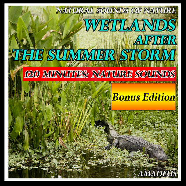 Wetlands After the Summer Storm: Natural Sounds of Nature: Bonus Edition cover art
