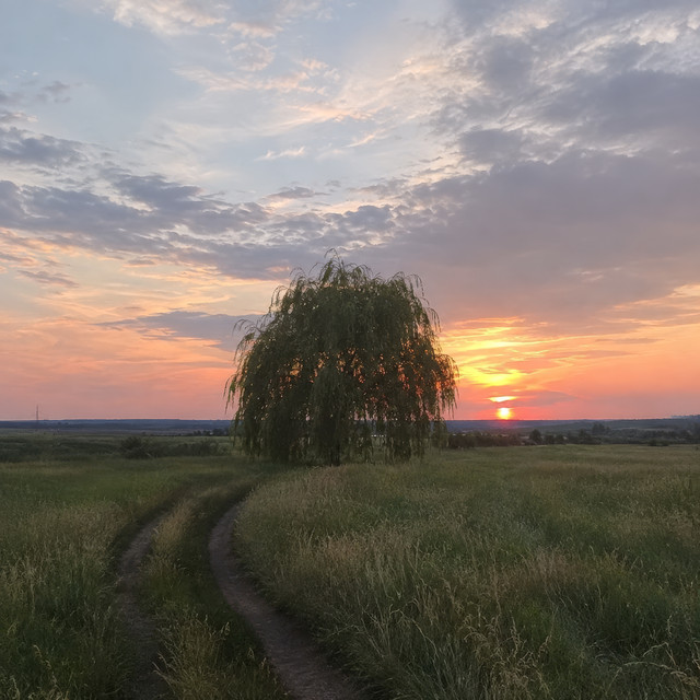 Лишь раз album image