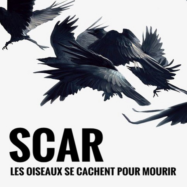 Fou cover art