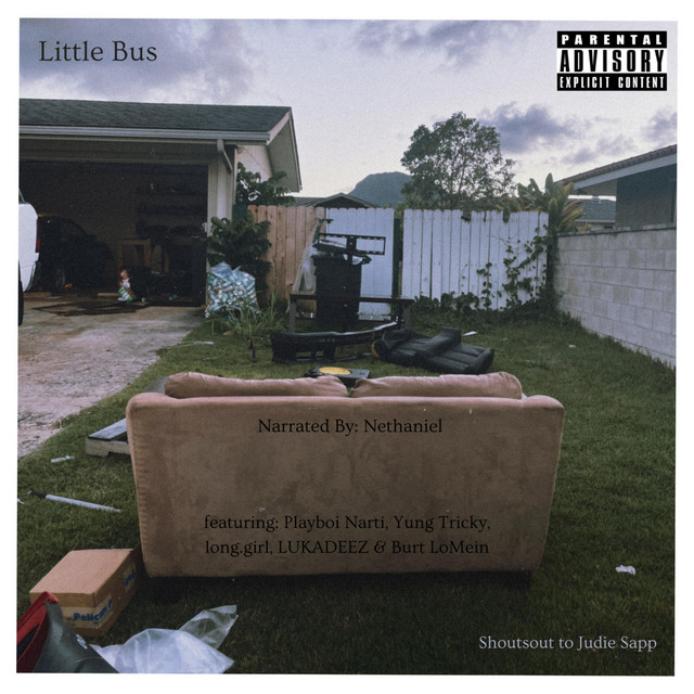 Couch cover art