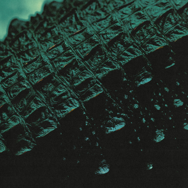 SONG OF THE SWAMP cover art