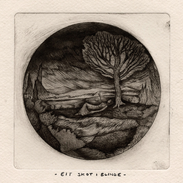 Eit skot i blinde album image