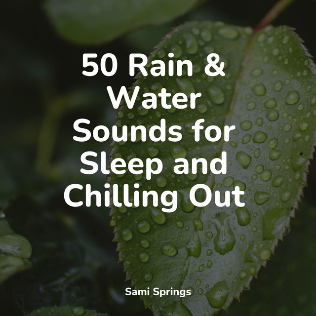 50 Rain & Water Sounds for Sleep and Chilling Out - Album by Rain ...