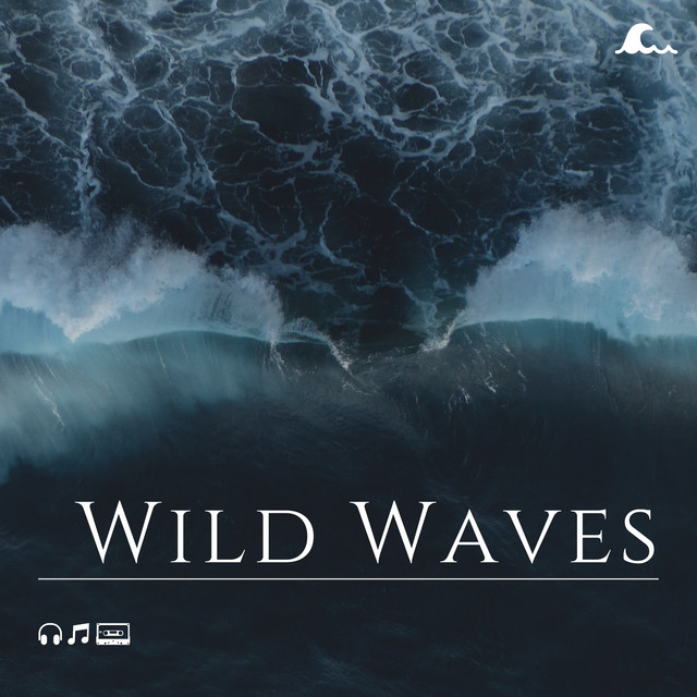 Wild Waves cover art