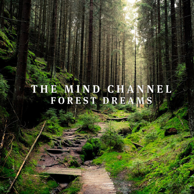 Forest Dreams cover art