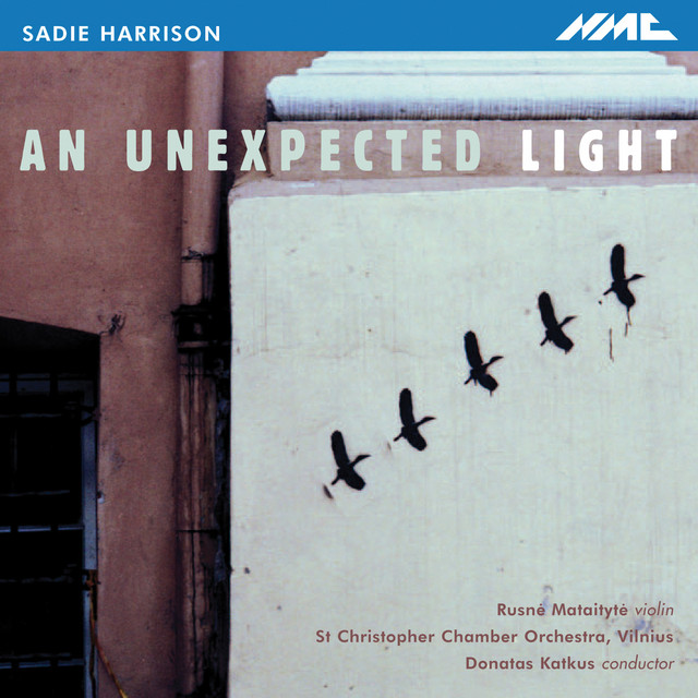 An Unexpected Light — Sadie Harrison