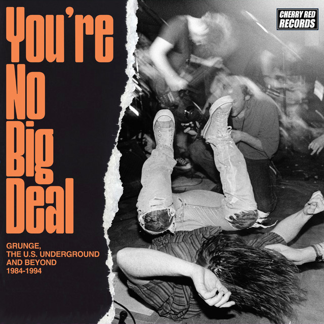You're No Big Deal: Grunge, The U.S. Underground and Beyond 1984-1994 cover