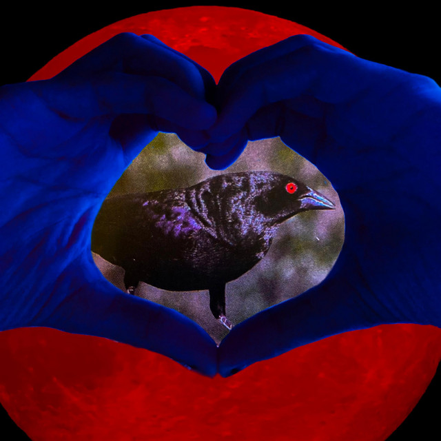 Mine cover art