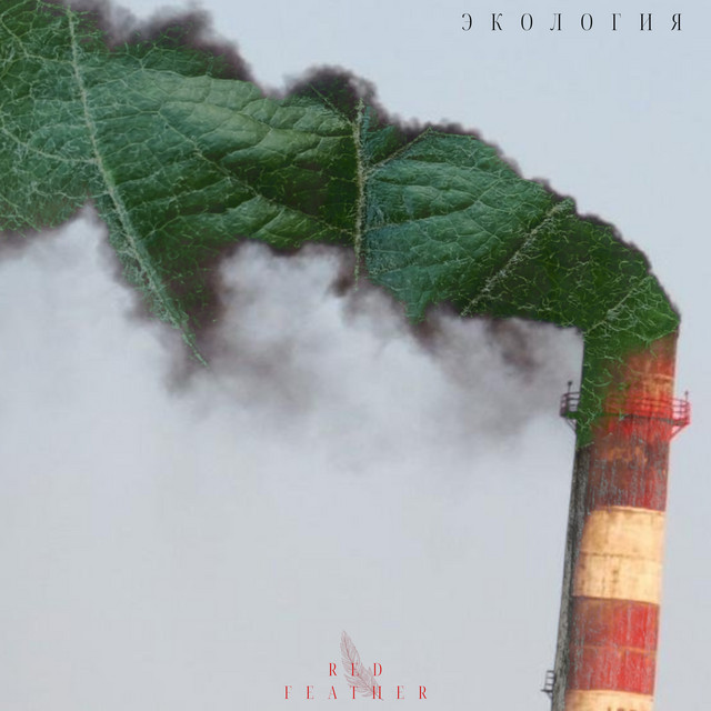 Red Feather | Spotify
