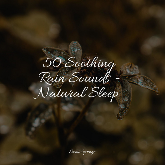 50 Soothing Rain Sounds - Natural Sleep - Album by Soothing Chill Out ...