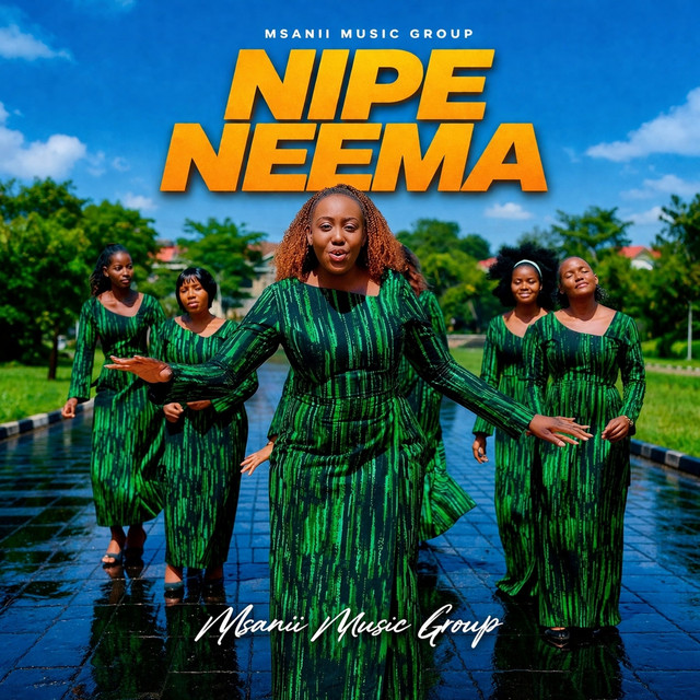 Nipe Neema album image