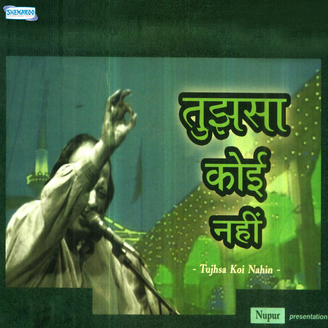 Tujhsa Koi Nahin cover art