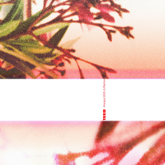 Always With A Remix cover art