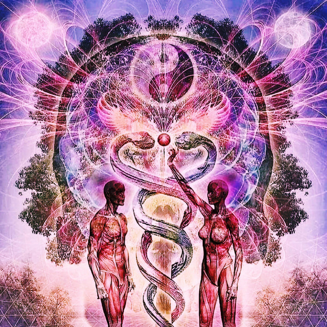 Meditate