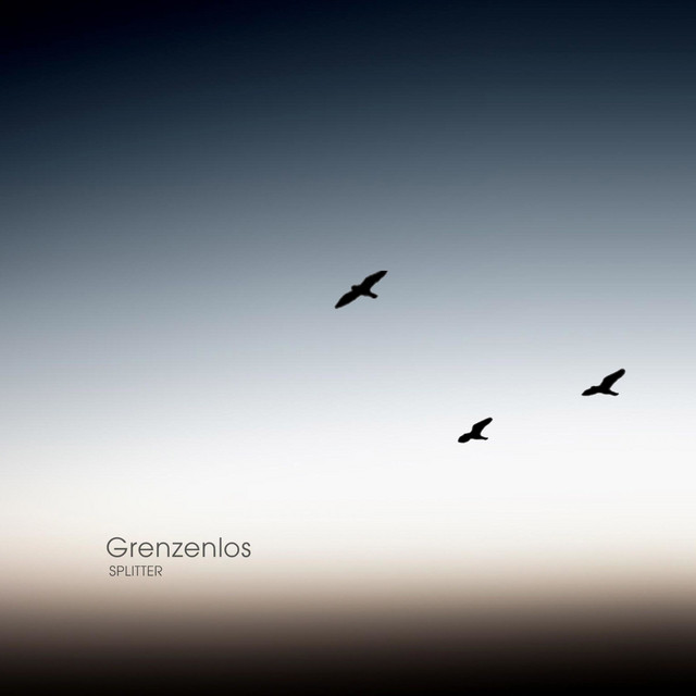 Grenzenlos cover art