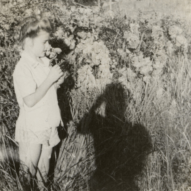 Nicholas Szczepanik Photo